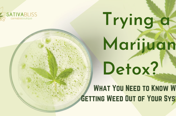 How Long Does it Take to Detox From Weed?