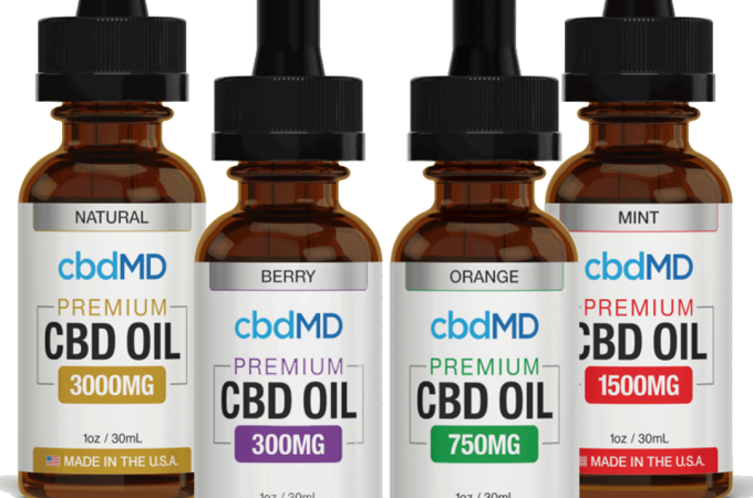 CBD Oil For Dogs: What You Should Know?