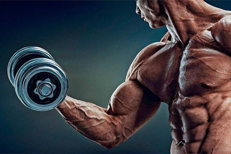 All You Need to Know About Steroids
