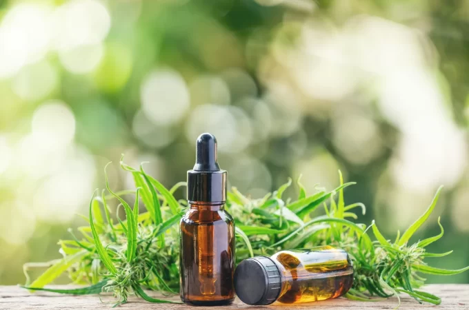 Cannabidiol: Meaning, Effects And Benefits Of Its Products