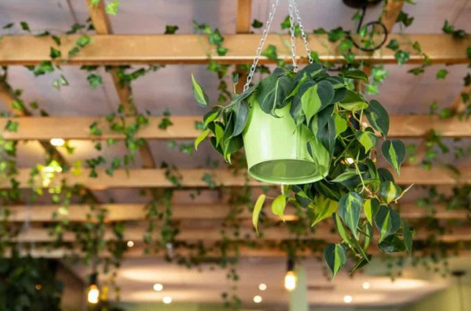 How To Get The Green Ceiling Without Drilling
