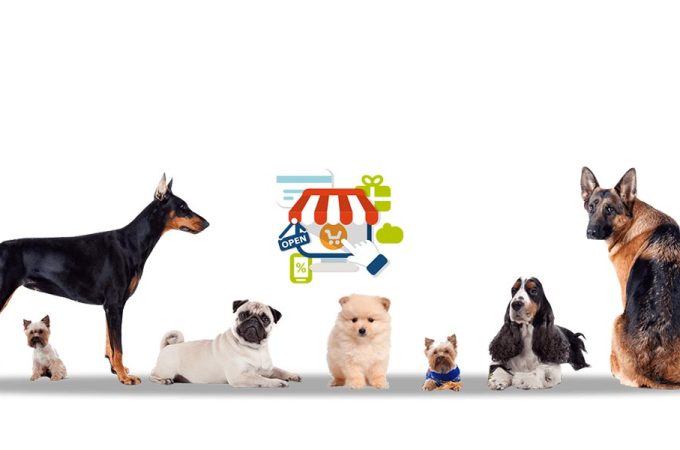 5 Tips for Successfully Running an Online Pet Store