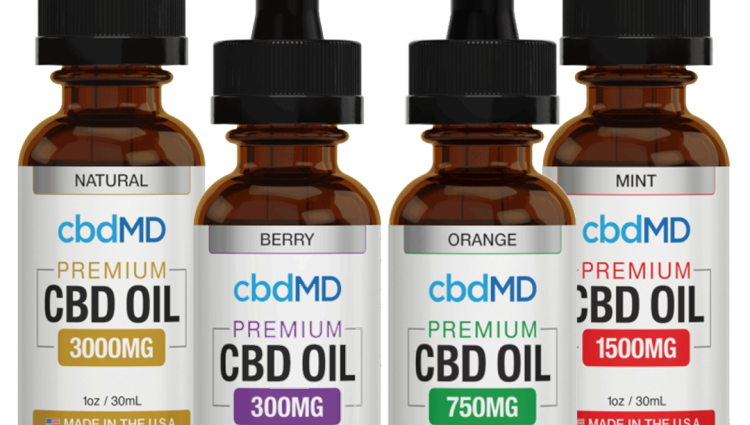 CBD Oil For Dogs: What You Should Know?