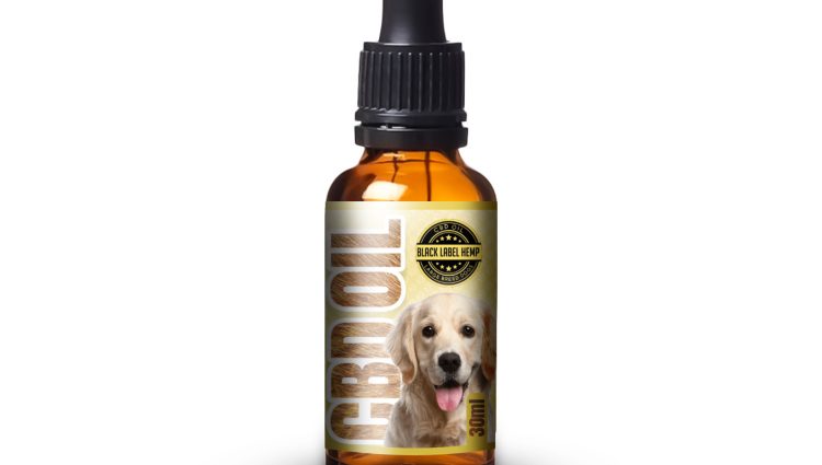 The Benefits Of CBD Oil For Dogs Reviews: What You Need to Know