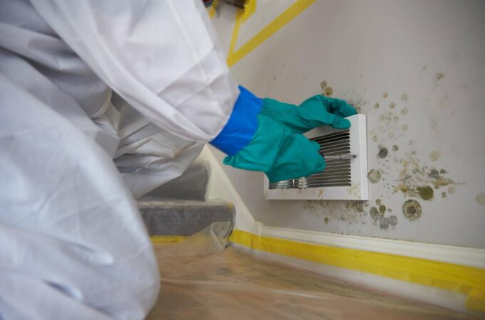 Is Your Home At Risk? 7 Clear Signs You Need Immediate Mold Removal Services