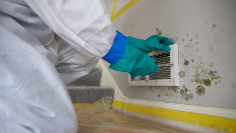 Is Your Home At Risk? 7 Clear Signs You Need Immediate Mold Removal Services